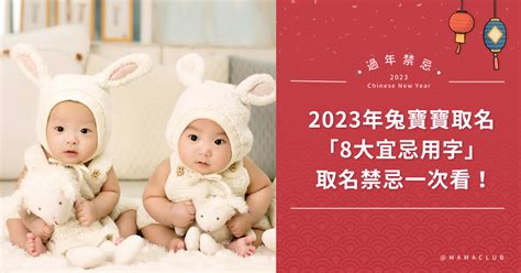 2023兔寶寶命格|【2023 兔寶寶】兔寶寶好運來！2023適合生兔寶寶的父母生肖，。